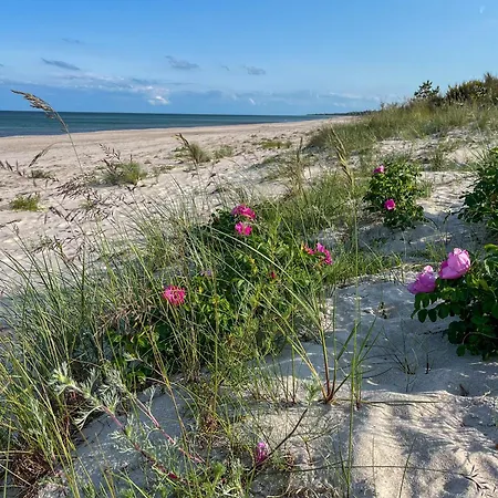 Family House By Marielyst With Large Garden *